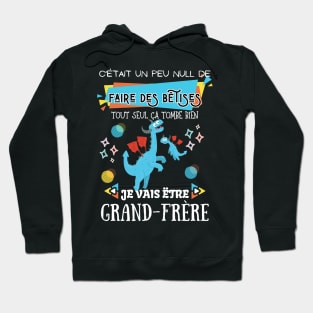 Enfant Futur Grand Frère 2023 Drôle Annonce Dinosaure Bêtises Hoodie